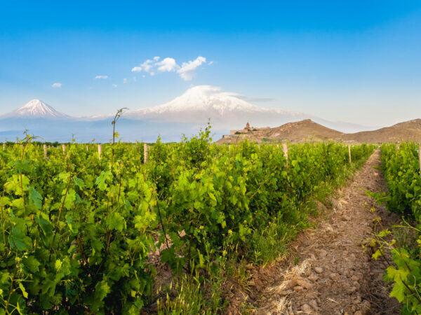 Armenia Wine & Gastronomy