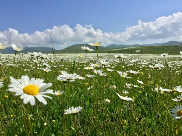 Armenia Nature & Adventure